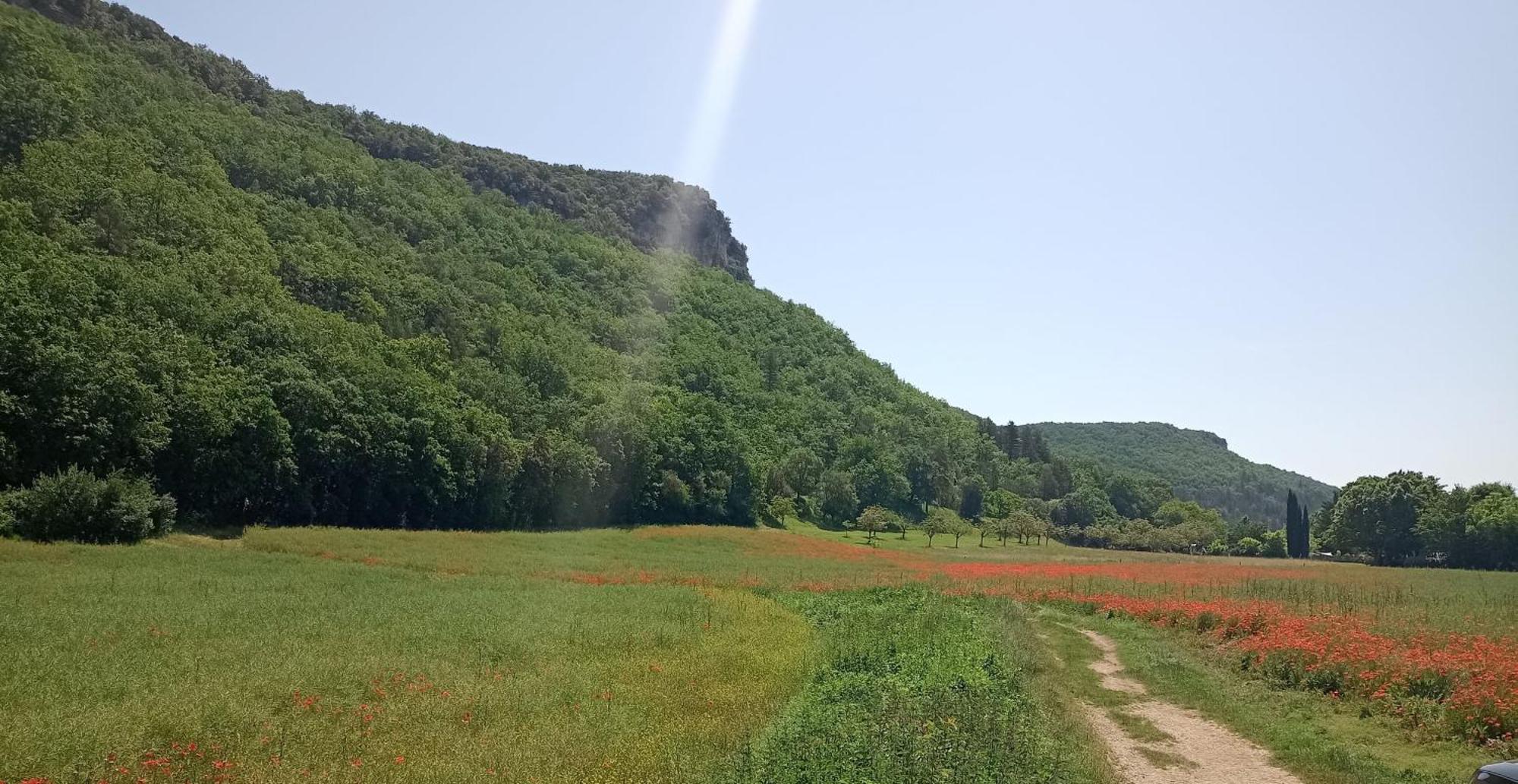 مبيت وإفطار دوم Les Jonquilles المظهر الخارجي الصورة
